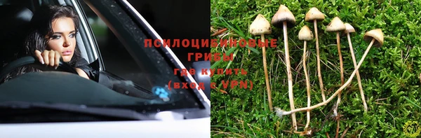 таблы Богородицк