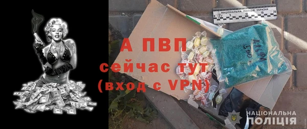 Альфа ПВП Бугульма