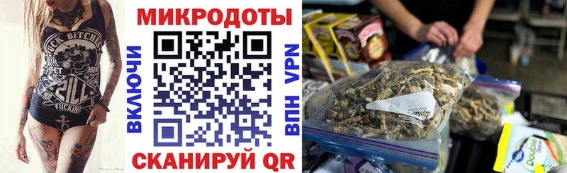Купить где  Минеральные Воды  Псилоцибиновые грибы Psilocybine cubensis 